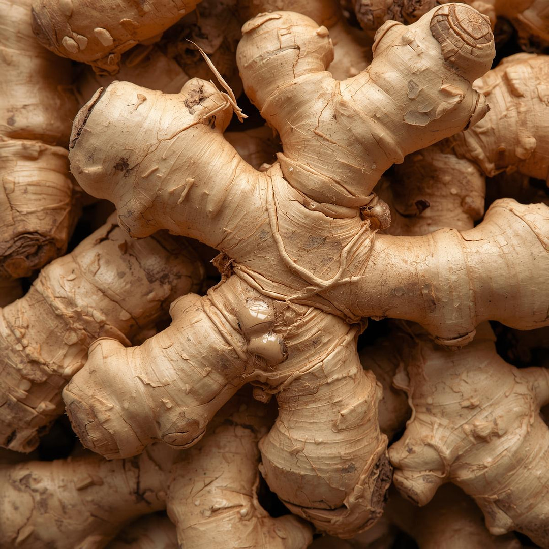 ginger vegetable ginger vegetable root molecules in iHerqles and the benefits.