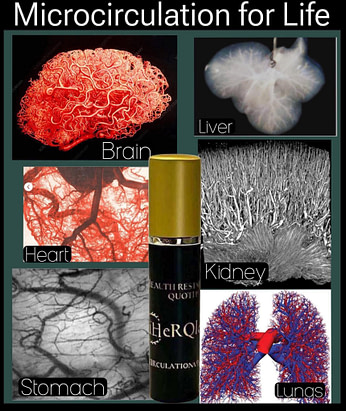 Blood Detox blood detox formula for natural purification