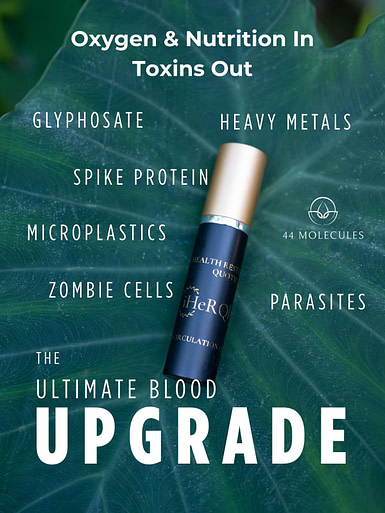 Improve Circulation with quantum frequency plant nutrition Improve Circulation with quantum frequency plant nutrition