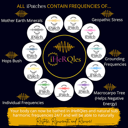 ipatches-overview ipatches