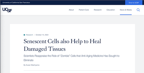 Screenshot 2025-07-13 at 7.18.20 PM