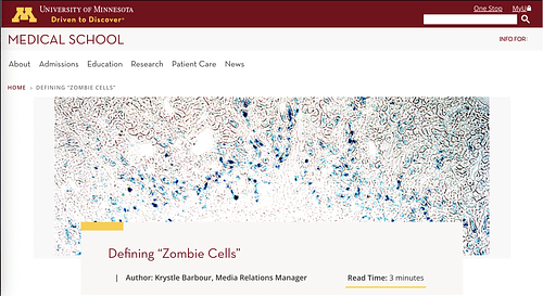 Screenshot 2025-07-13 at 7.17.56 PM