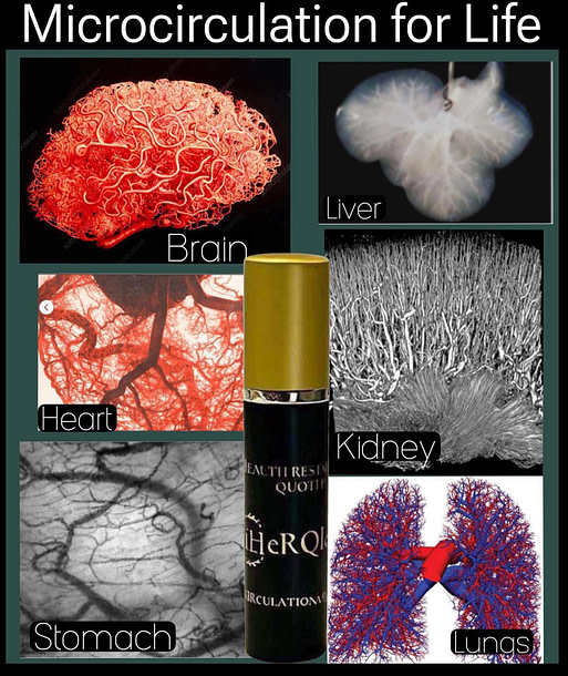 Blood Detox blood detox formula for natural purification