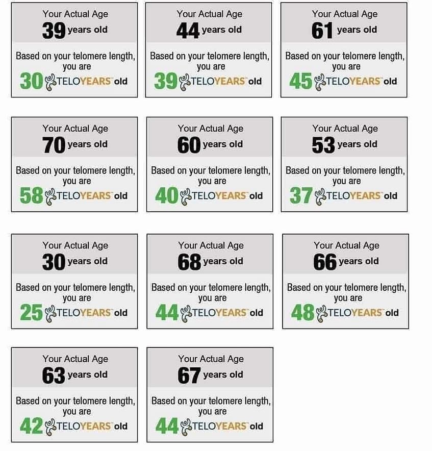 Telomeres Study Telomeres Study